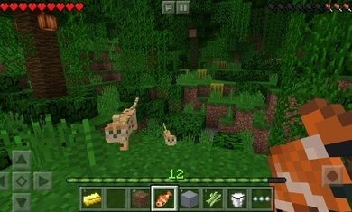 我的世界国际版1.16截图