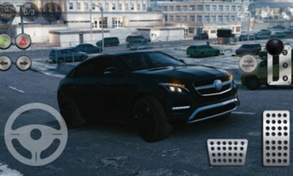 真实泊车2新模式截图