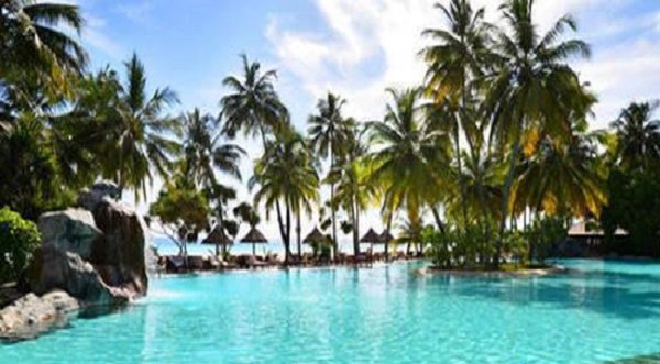 假日岛2.3安卓作弊版截图