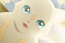 想哭的我带上猫的面具完整版截图