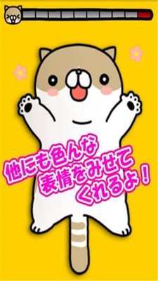 挠痒猫截图