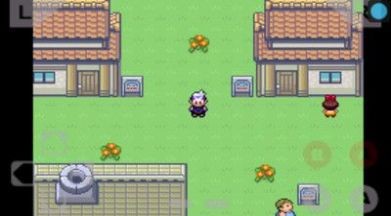 口袋妖怪全随机改版802手机版截图