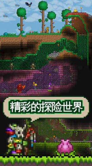泰拉瑞亚1.4.0.5.2内置作弊菜单版截图