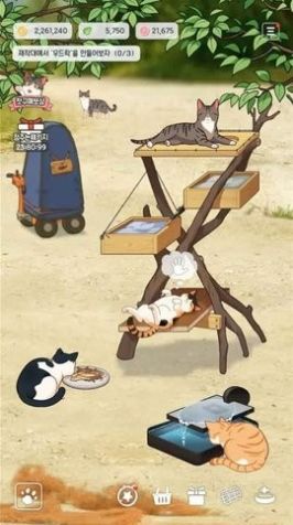 渔场猫咪福利版游戏截图