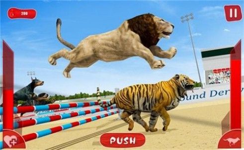 狮子赛跑3D版截图