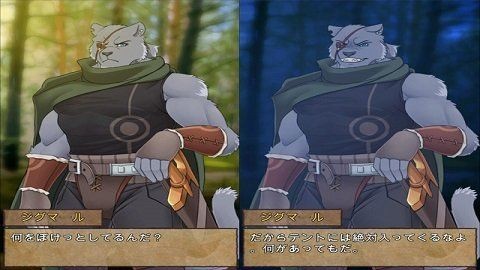 野兽战士的夜晚截图