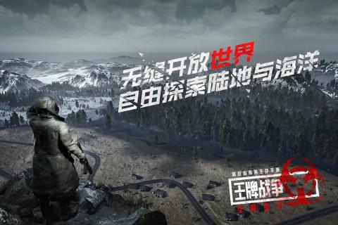 王牌战争官网版截图