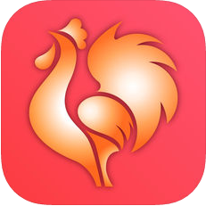 大公鸡棋牌2025官方版_Android_1.2