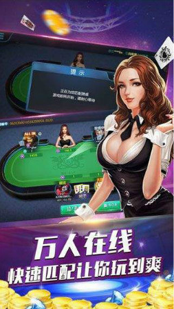 双子棋牌截图
