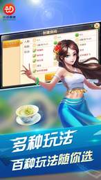 兴动快乐麻将截图