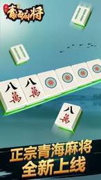 圣盛青海挖坑截图