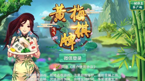 飞飞黄梅棋牌截图