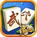 掌心武穴麻将
