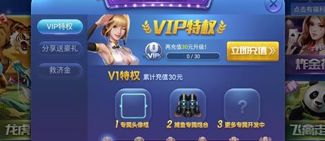 旺锦娱乐截图