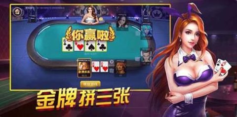 天天自摸棋牌截图