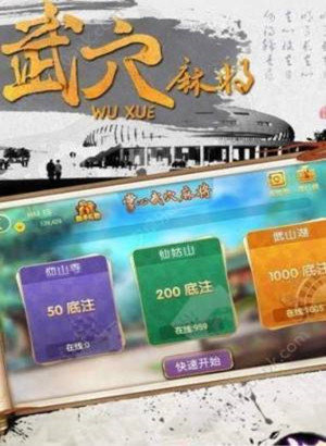 掌心武穴麻将截图